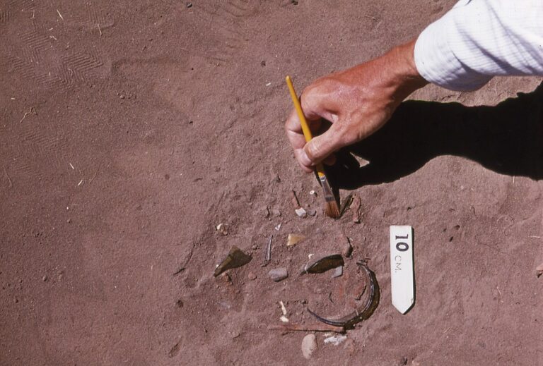 The Importance of the Archaeological Brush