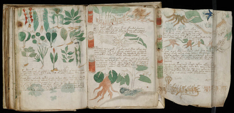 The Voynich Manuscript: A Book No One Can Read