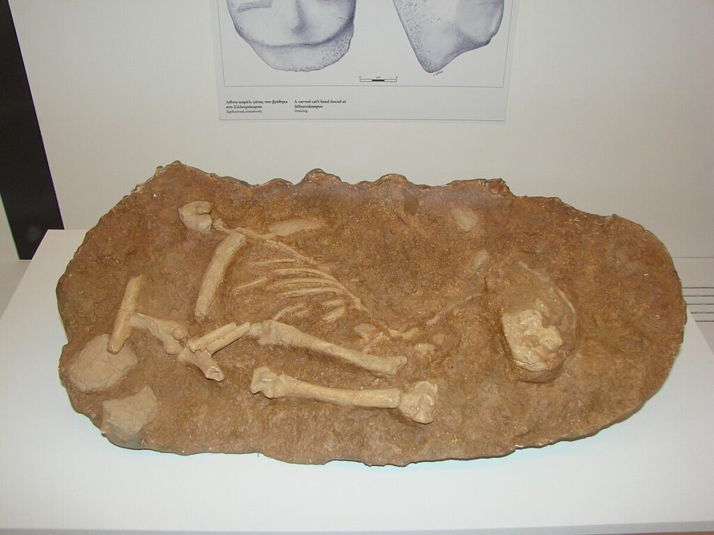Cat Burial from 7500-7000 B.C.