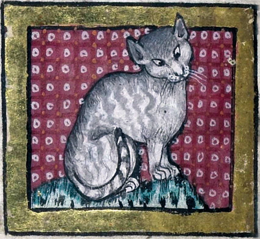 Medieval Cat